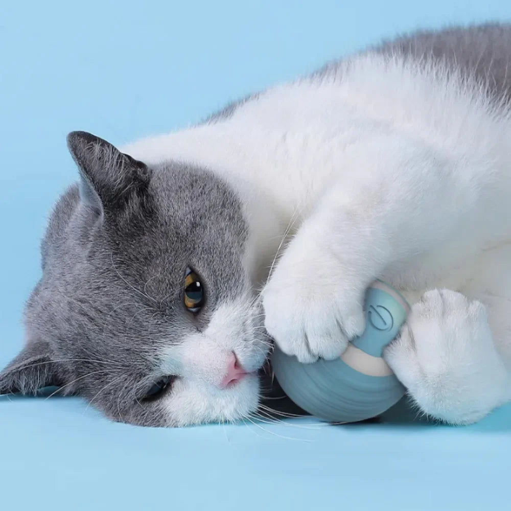 SmartRoll Cat Ball
