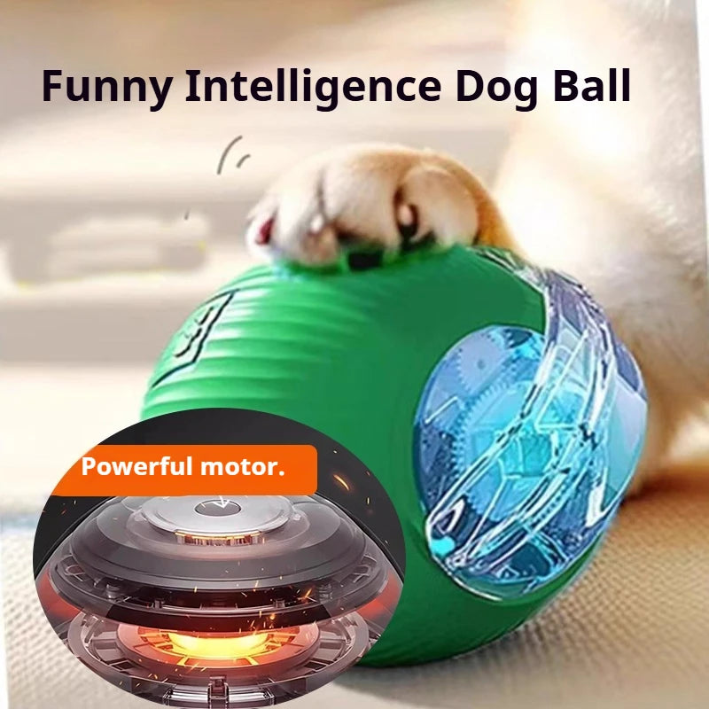 ActivePup Ball