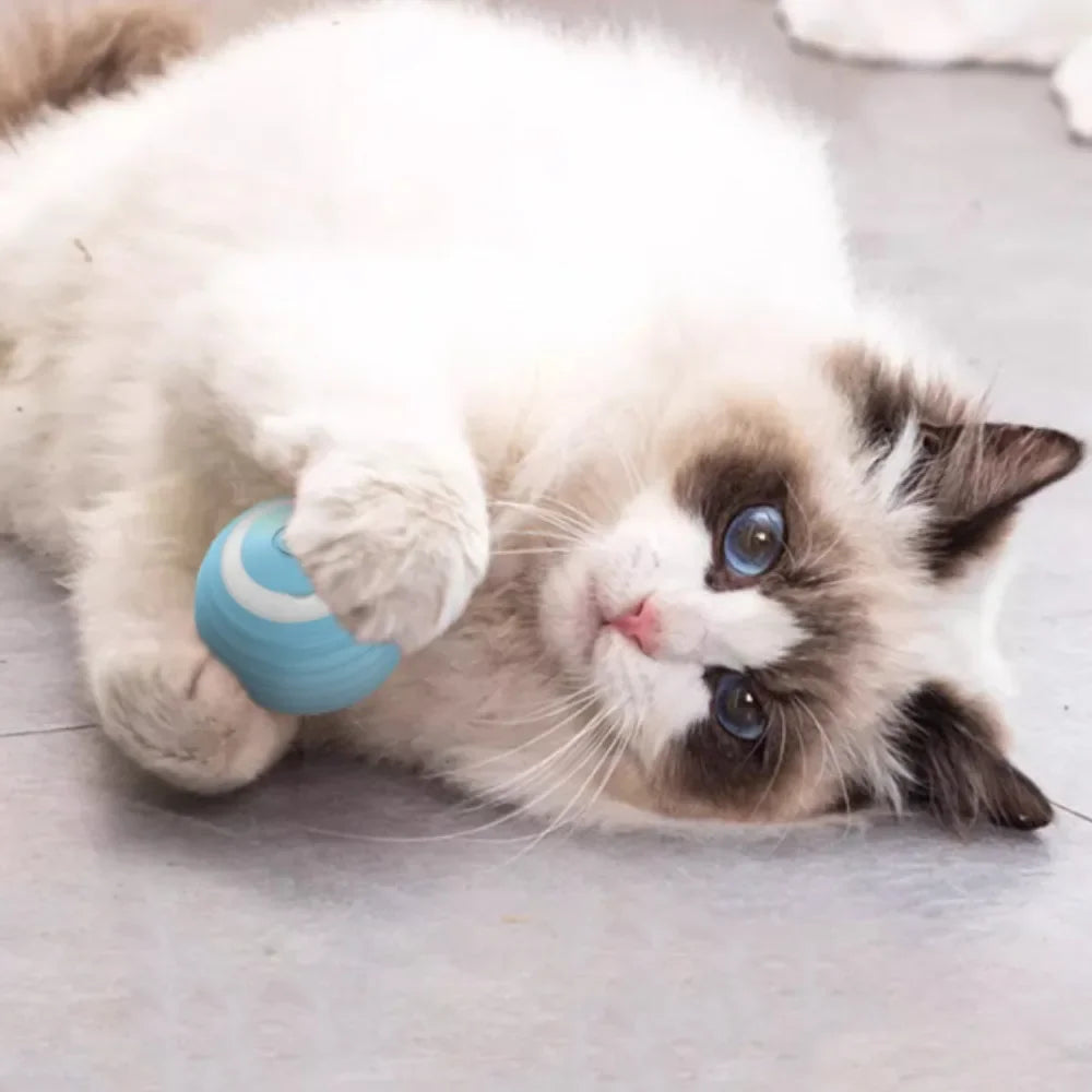 SmartRoll Cat Ball