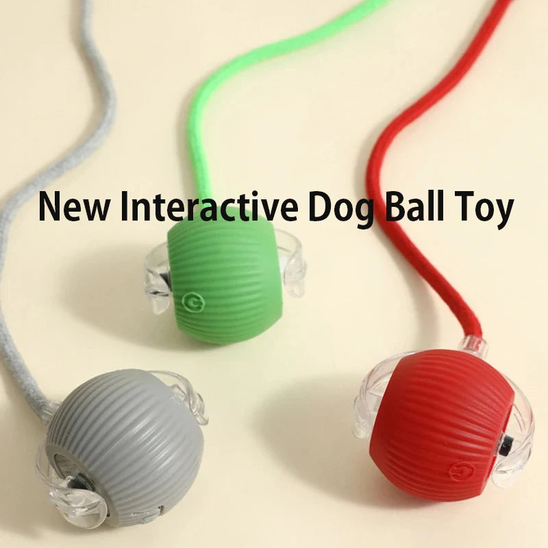 ActivePup Ball