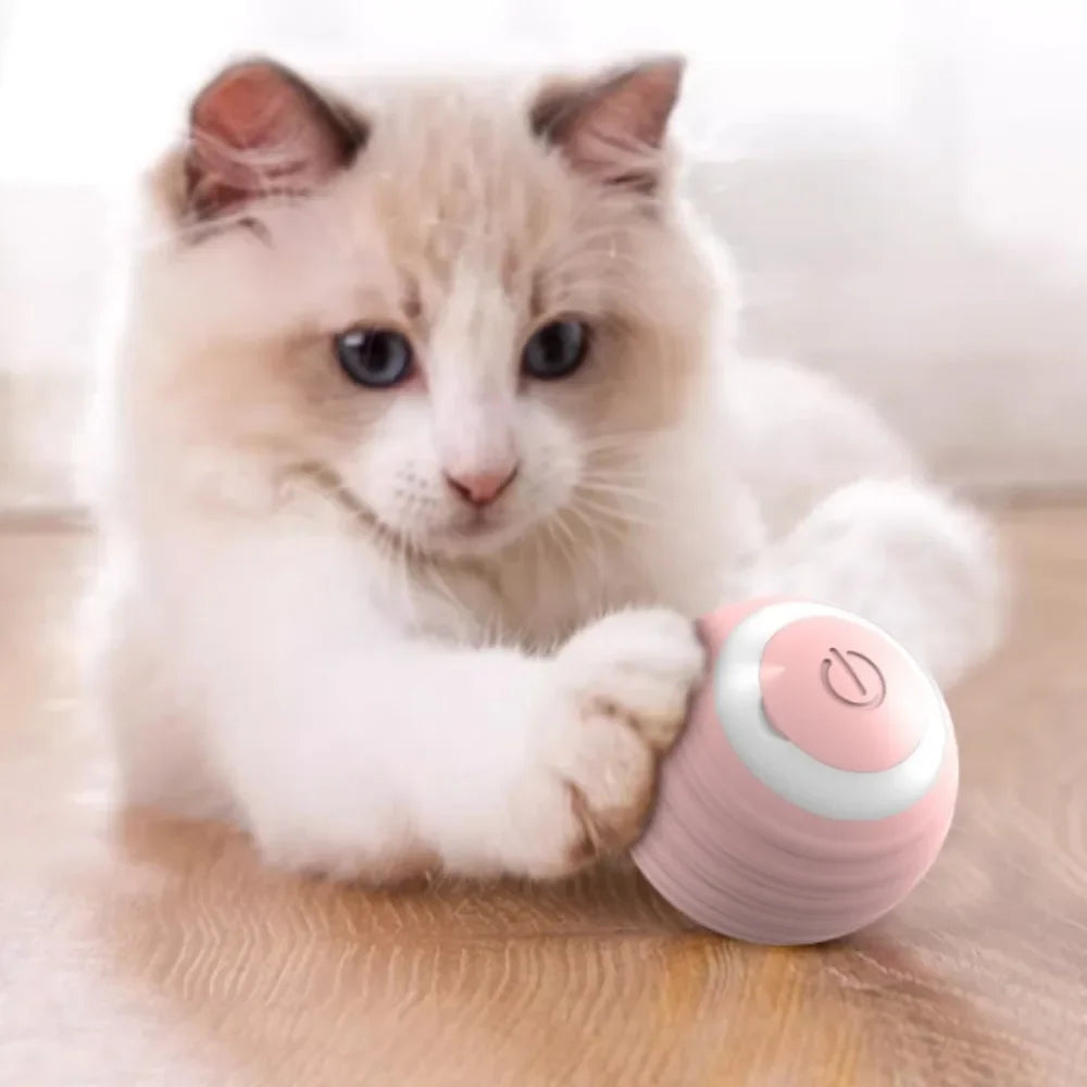 SmartRoll Cat Ball