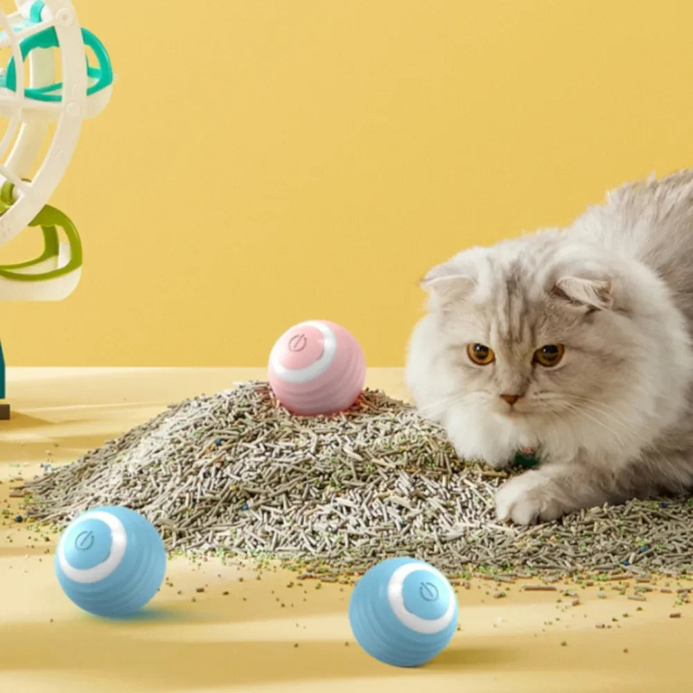 SmartRoll Cat Ball