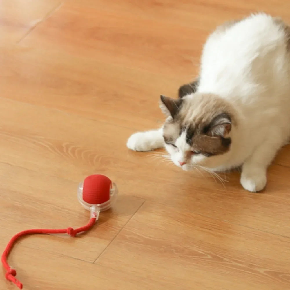 SmartRoll Cat Ball